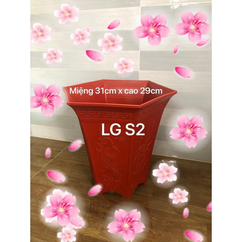 Chậu nhựa lục giác
