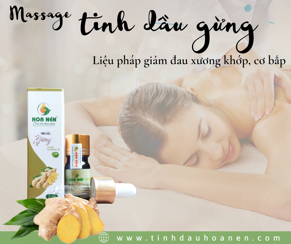 Tinh dầu Gừng nguyên chất Hoa Nén 5ml - Giảm đau đầu, say tàu xe, hỗ trợ tiêu hoá