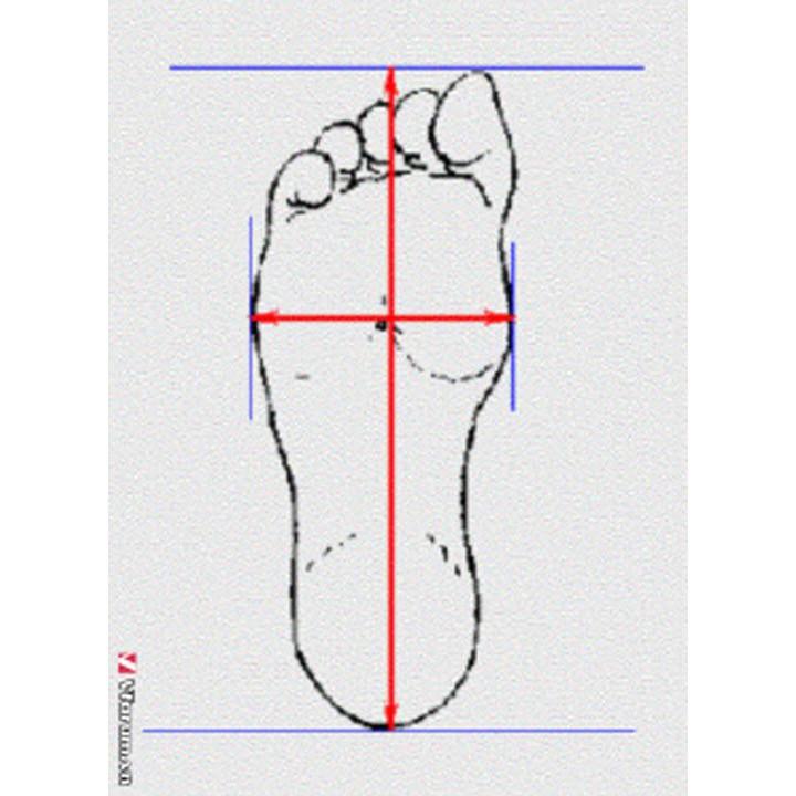 Giày cao gót BIGTREE nơ hậu màu trắng da bóng gót 10cm