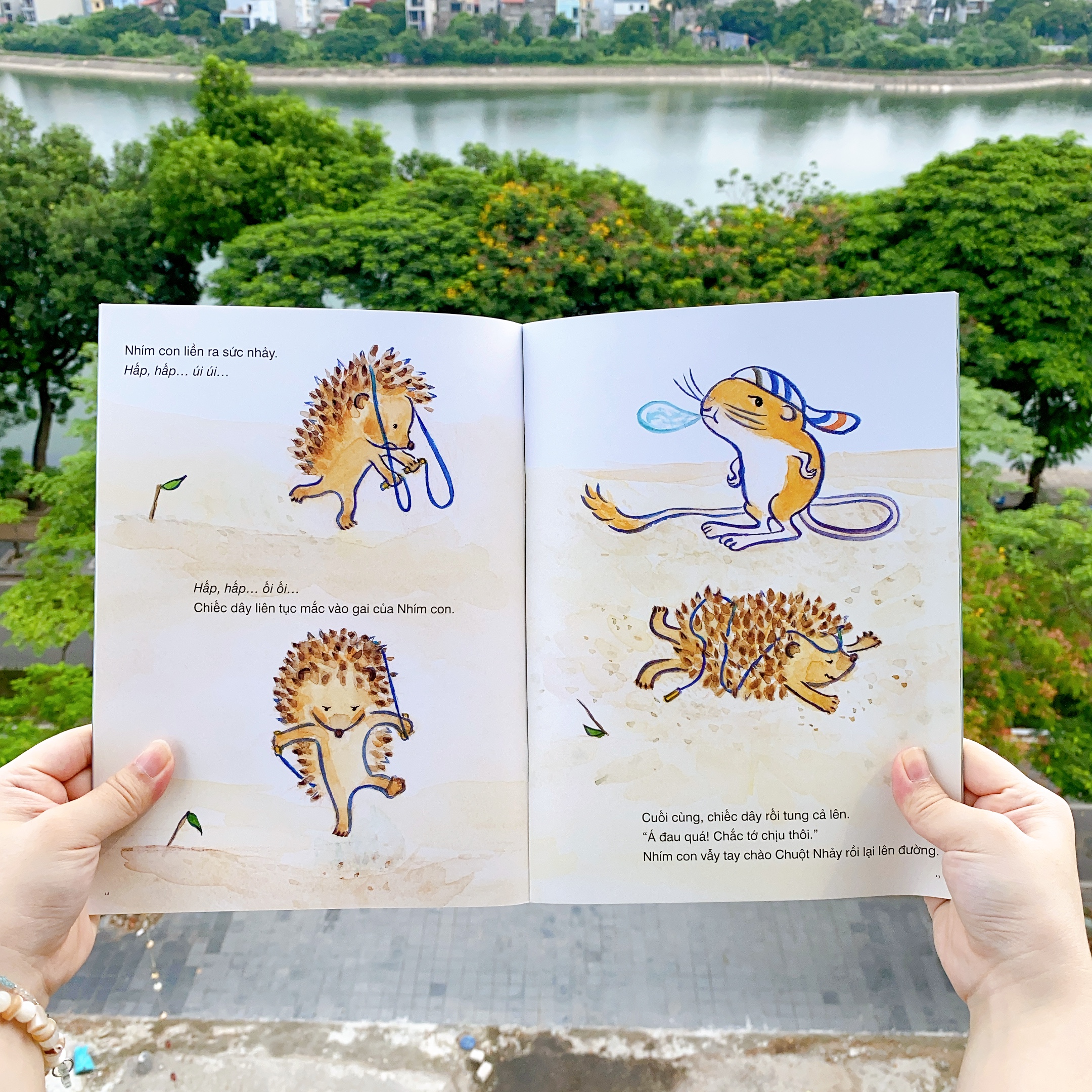 Sách cho bé từ 3 tuổi - Phát triển tư duy Chuyện của nhím con (Truyện tranh Ehon Nhật Bản)