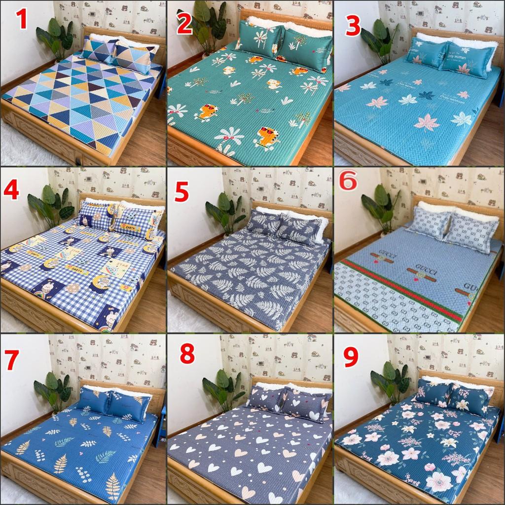 Bộ ga chun trần bông cotton Hàn Quốc kích thước 1m6/1m8/2m