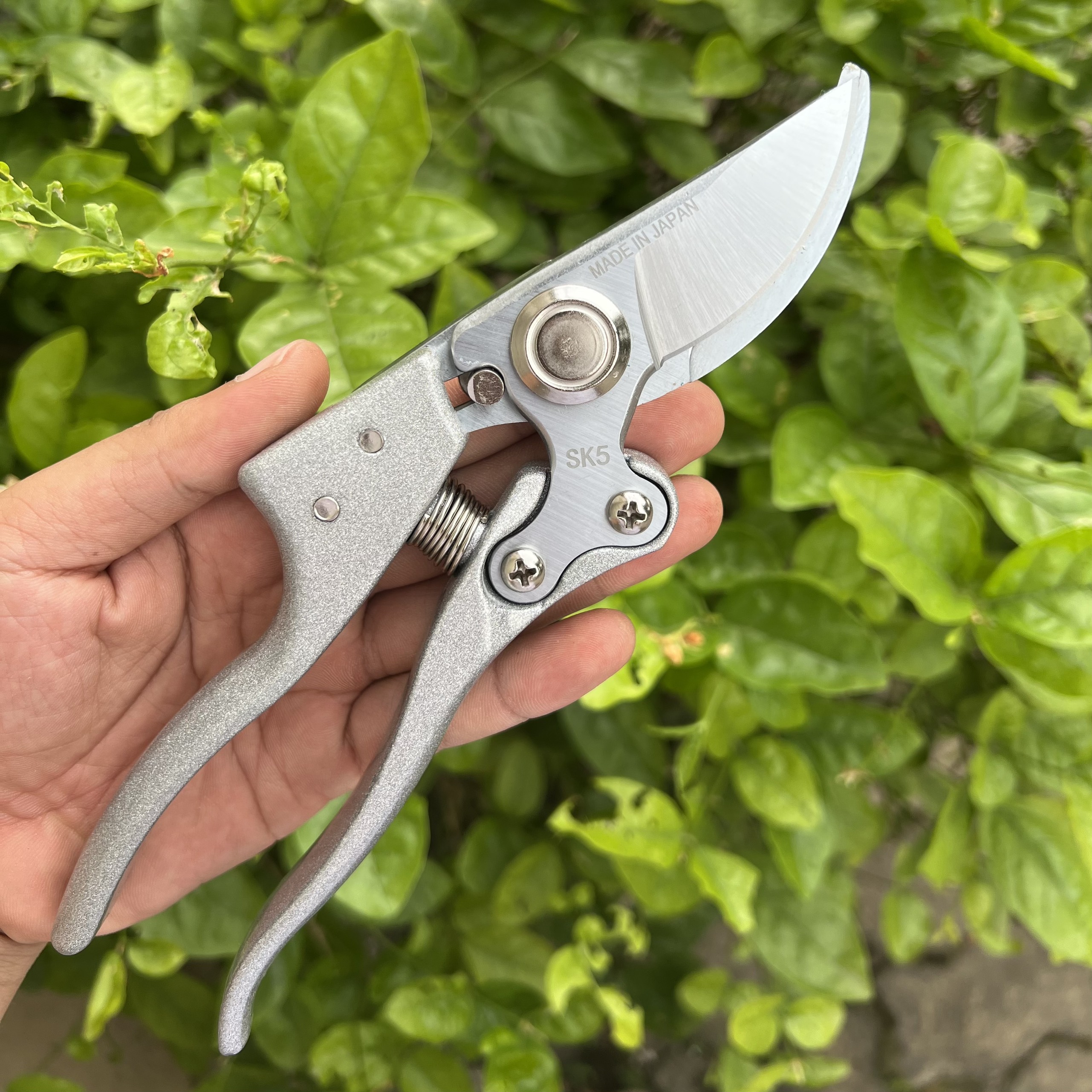 Combo Kéo Cắt Cành SK5 Nhật Bản + Cưa Lách Lưỡi Bén ,Dụng Cụ Bonsai, Đồ Dùng Làm Vườn