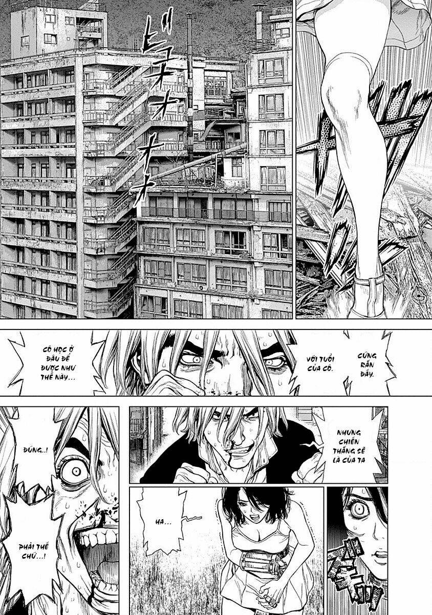 wallman chapter 21 24