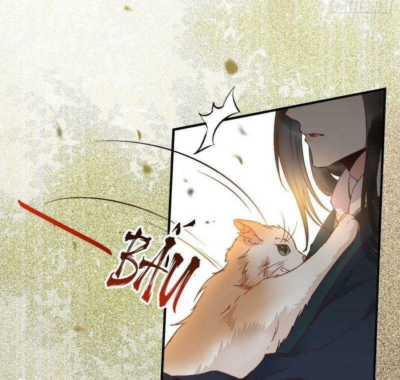 sát thủ vương phi không dễ chọc chapter 33 51