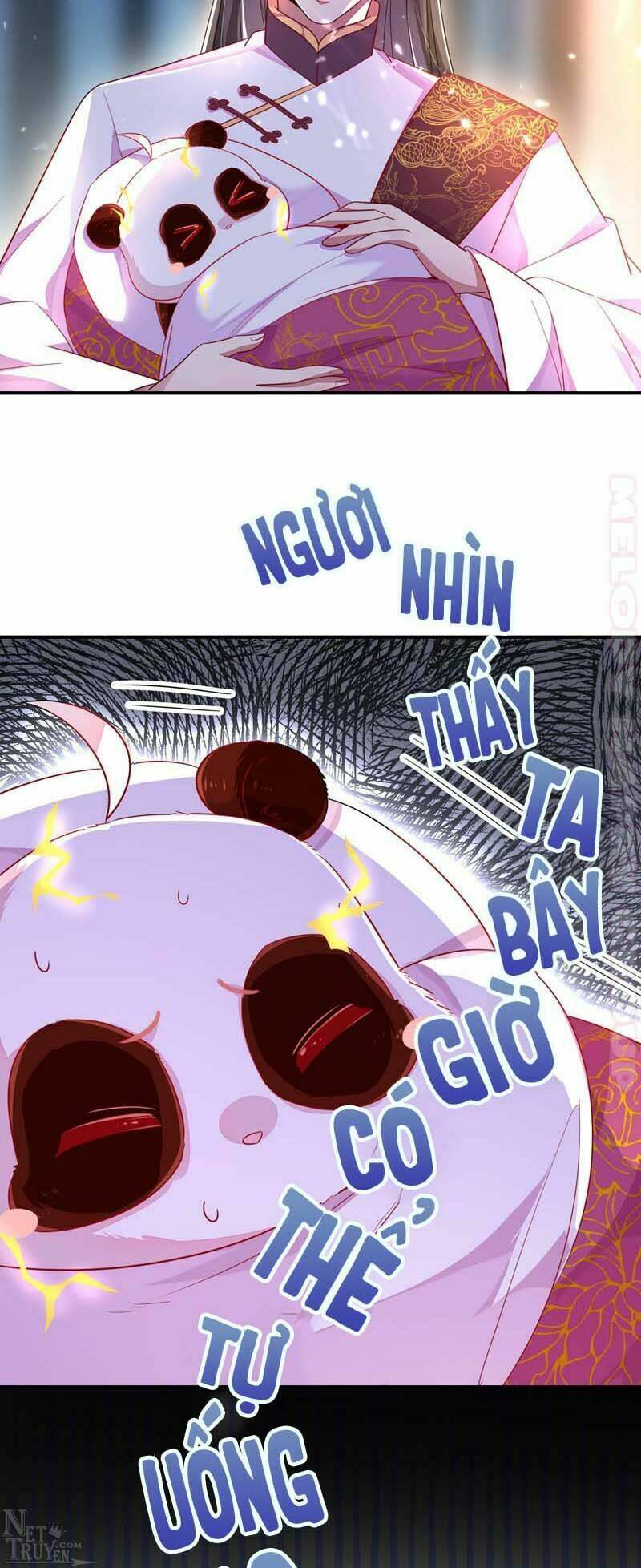 thiên thần gấu trúc muốn được ôm chapter 53 10