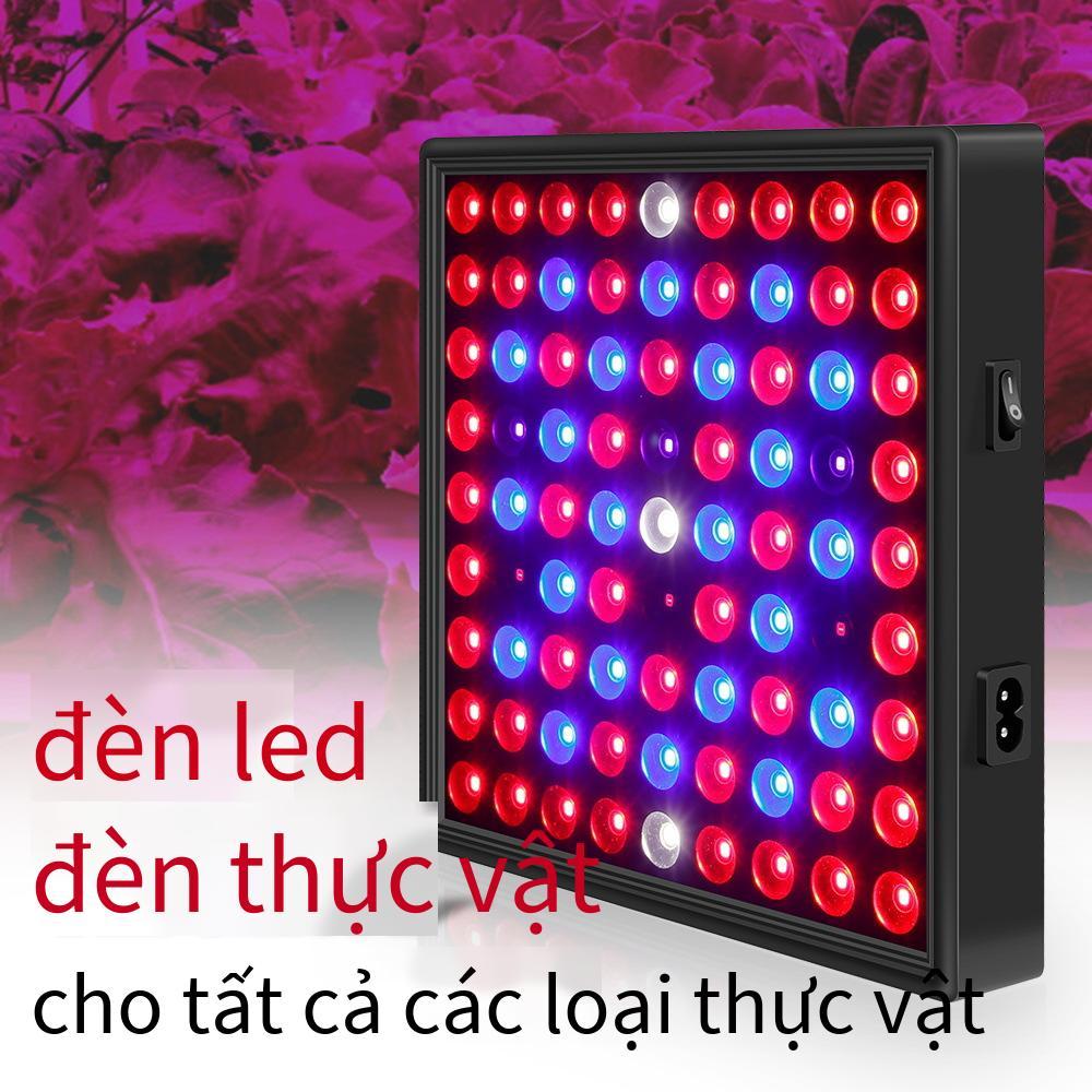 Phong cách mới nhất bảng lượng tử 50W đèn thực vật màu đỏ và màu xanh LED toàn phổ cho hồ cá lấp đầy ánh sáng trồng cây 30W trong nhà đèn tăng trưởng thực vật