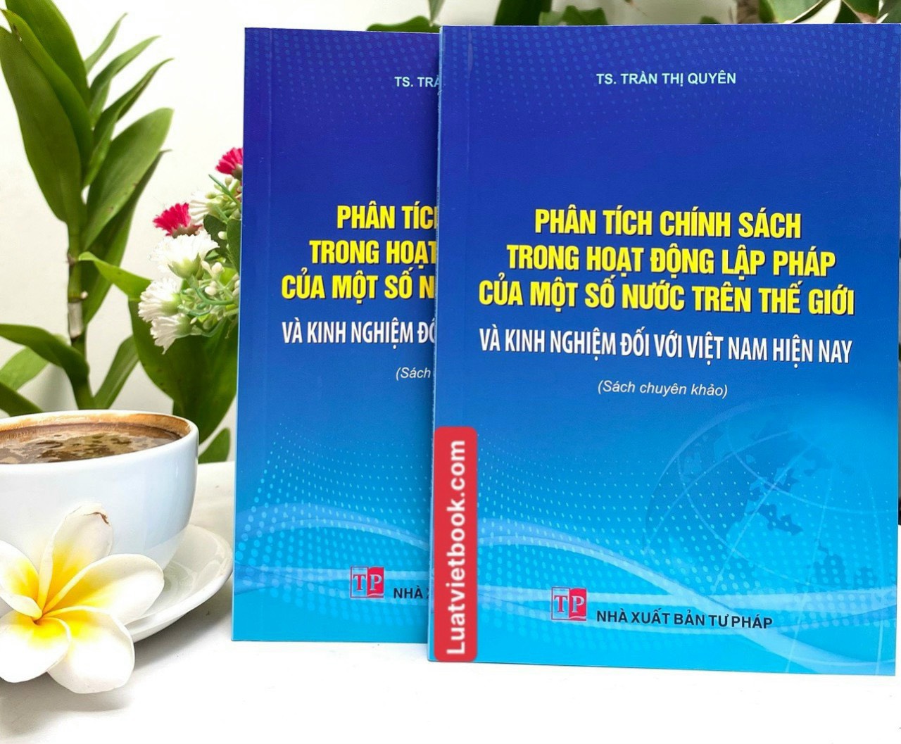 Phân tích chính sách trong hoạt động lập pháp của một số nước trên thế giới và kinh nghiệm đối với Việt Nam hiện nay