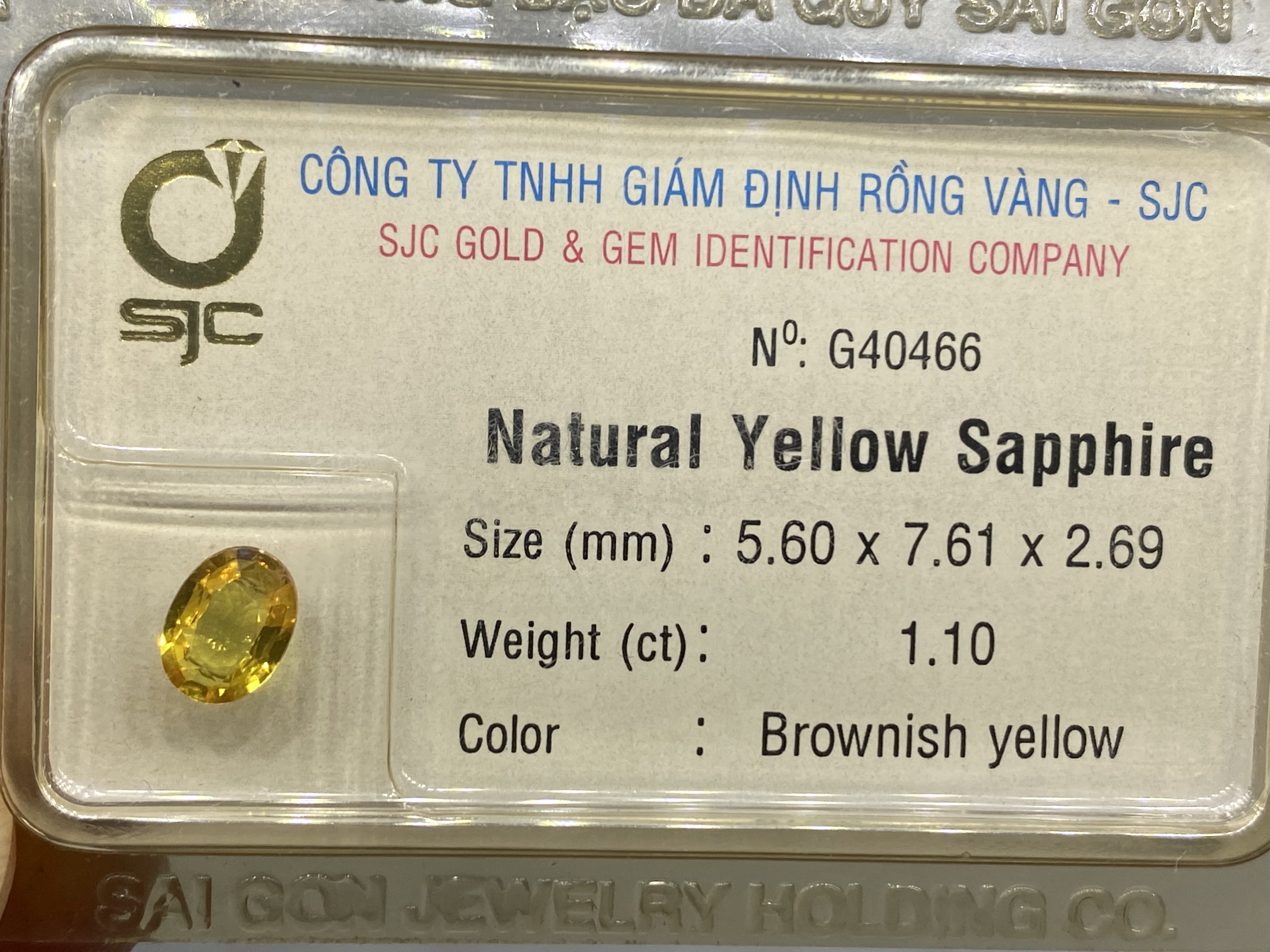 Viên sapphire vàng thiên nhiên 1.1ct 40466