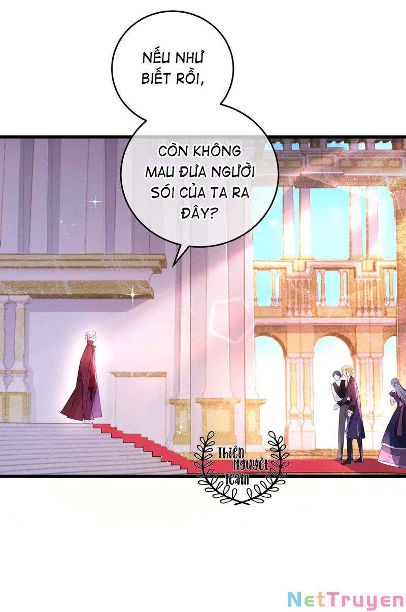 Dẫn Sói Vào Nhà chapter 6