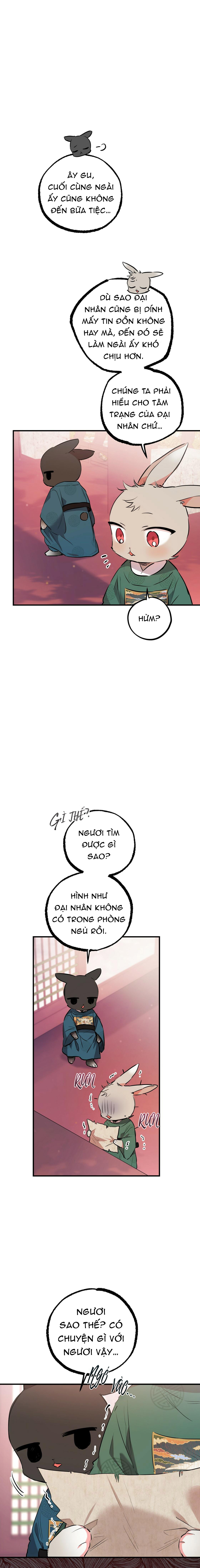 những chú thỏ của hapypy chapter 23 5