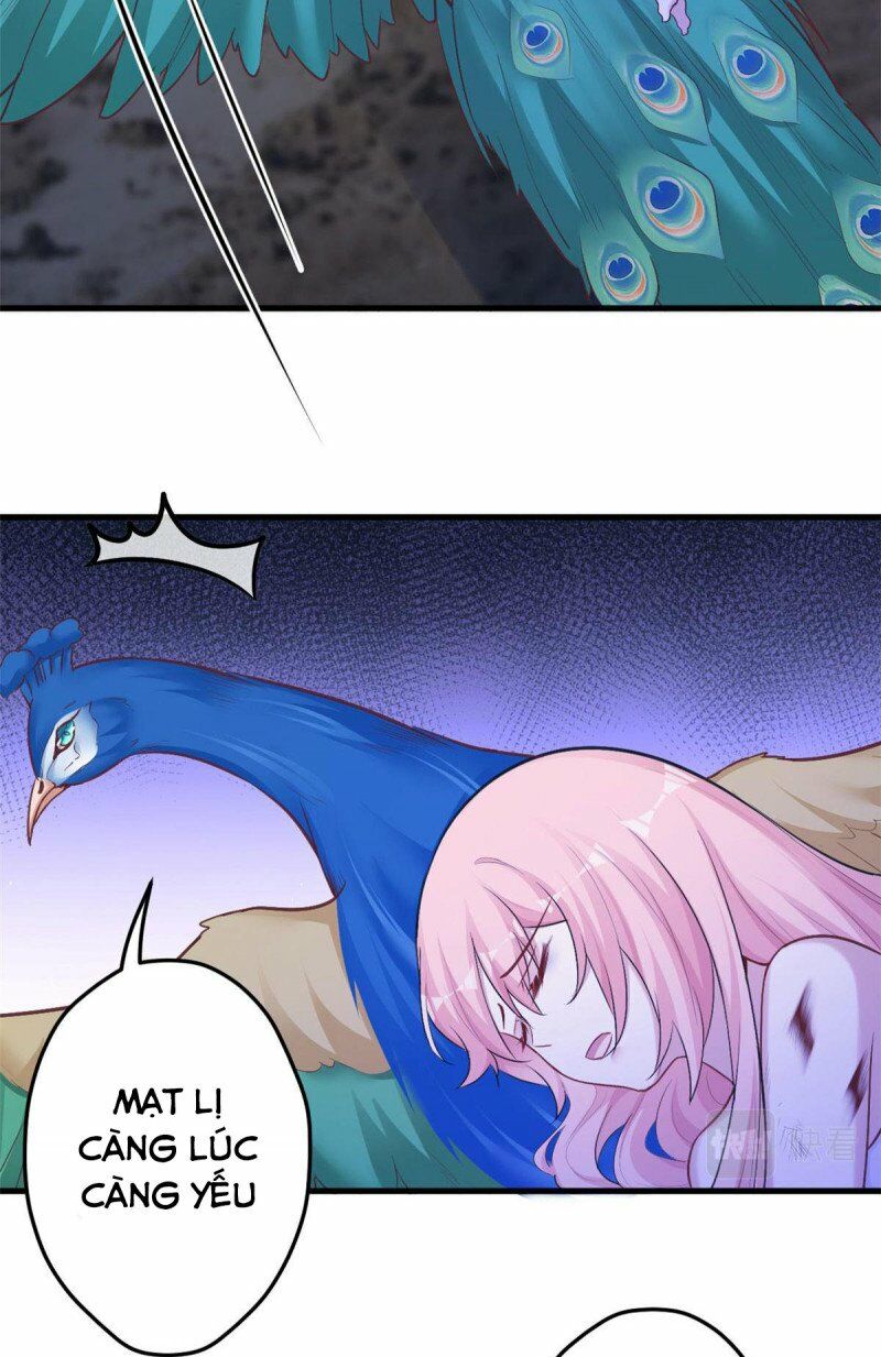 [16+] thảnh thơi thú thế chủng chủng điền, sinh sinh tể chapter 380 18