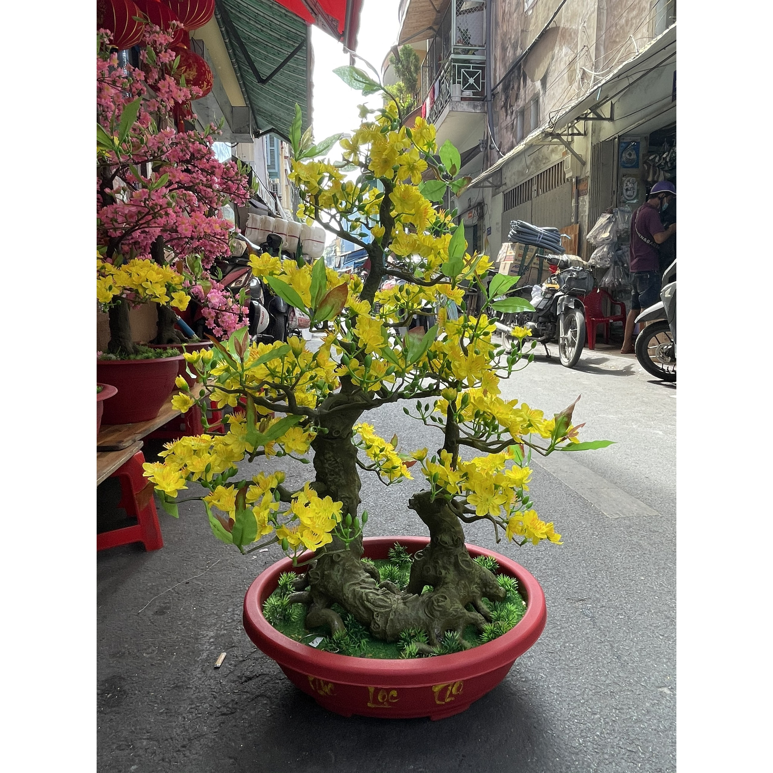 Cây Hoa Mai Bonsai Nhựa Cao 92 cm Hoa Mai Trang Trí Tết