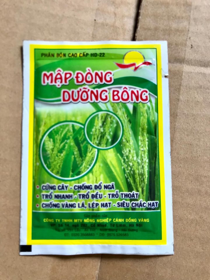 Phân bón - Siêu to củ