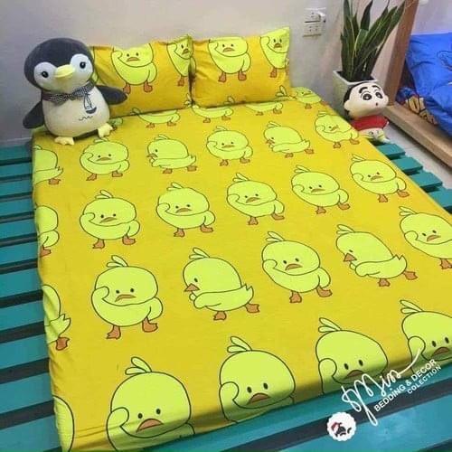 Ga Gối Polly Cotton m6 hoặc m8