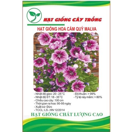 Hạt Giống Hoa Cẩm Quỳ Nhiều Màu CT428 - Gói 50 hạt