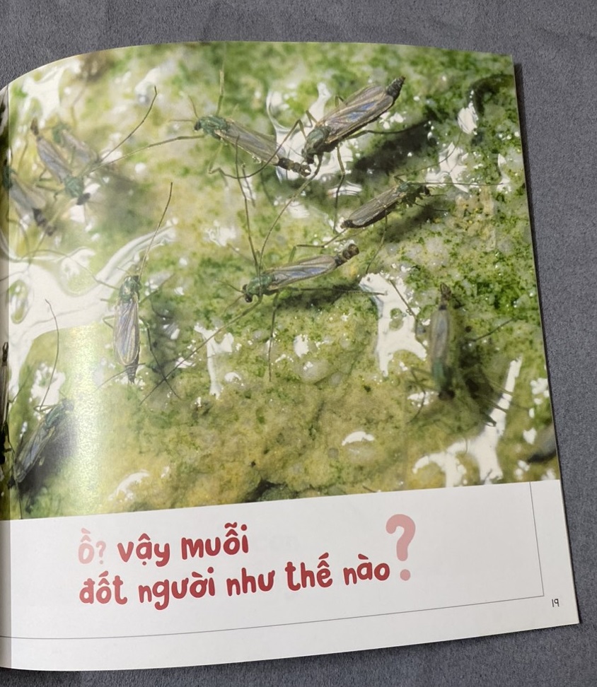 Sach - Kính vạn hoa thiên nhiên: Muỗi con trốn học