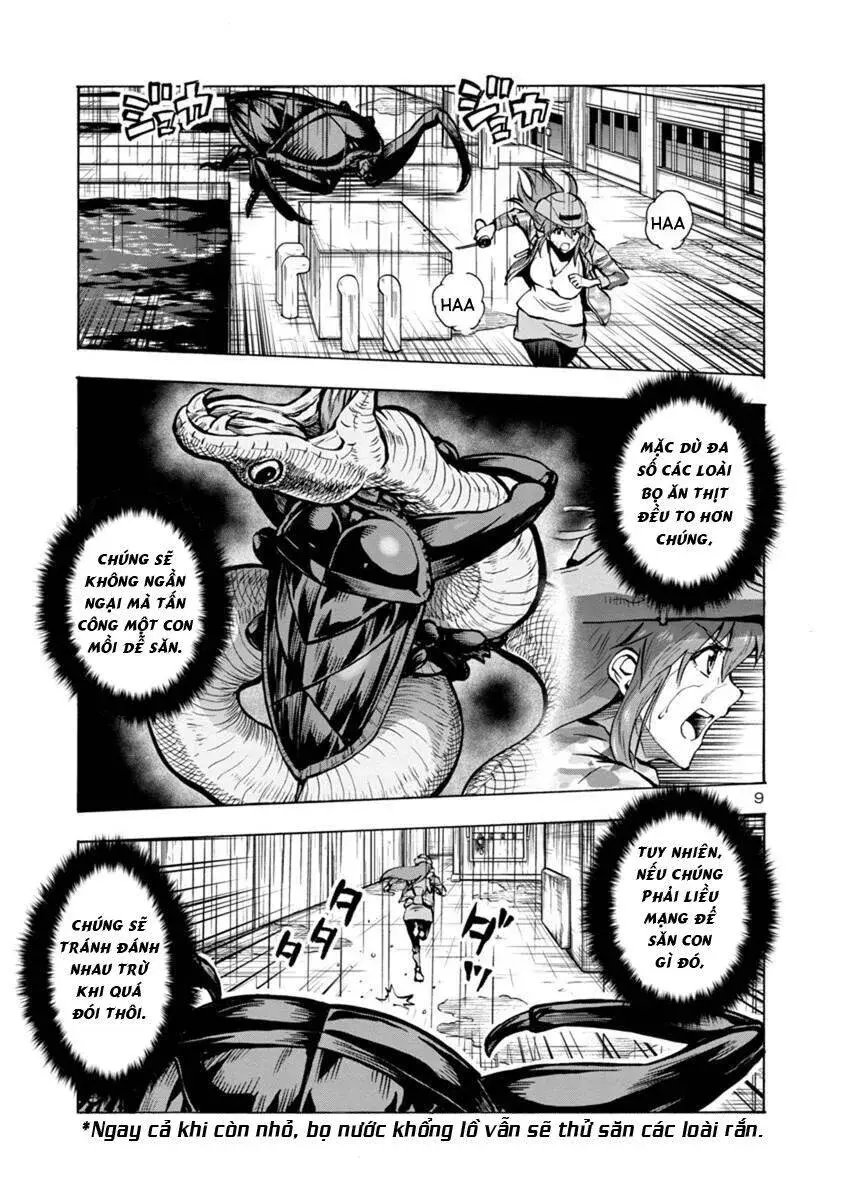 Siêu Đảo Côn Trùng chapter 19.2 9