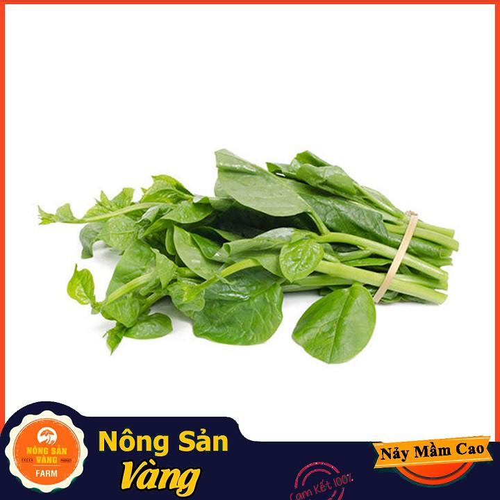 Hạt giống Mồng Tơi Xanh
