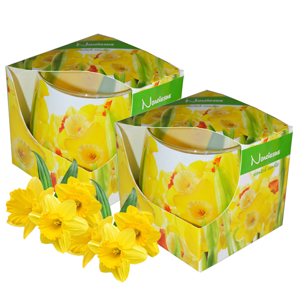 Combo 2 ly nến thơm tinh dầu Admit Narcissus 100g - thủy tiên vàng, nến trang trí, thơm phòng, thư giãn, khử mùi