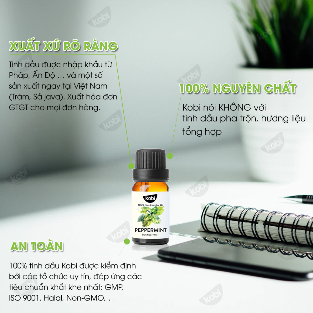 Combo 3 Tinh Dầu Kháng Khuẩn Kobi Bạc Hà + Sả Chanh + Khuynh Diệp (10mL) - Tinh Dầu Thiên Nhiên Nguyên Chất, Tinh Dầu Xông Phòng, Dùng Với Máy Xông Tinh Dầu Giúp Khử Mùi, Thơm Phòng Hiệu Quả