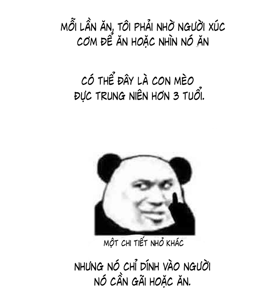 đừng nói yêu tôi (don't say you love me) chapter 52.5 8