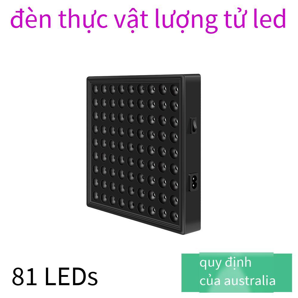 Đèn LED nhà máy thuận lợi nhất bảng lượng tử cây giống nhà kính cây mọng nước tăng trưởng lấp đầy ánh sáng toàn phổ thực vật đèn thực vật