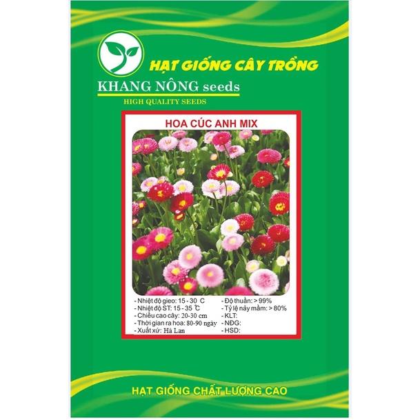 Hạt giống hoa cúc anh mix màu KNS3610 - Gói 50 hạt