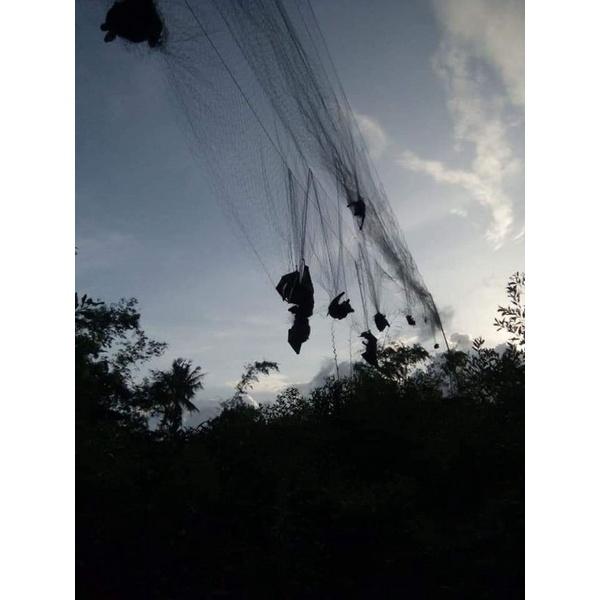 60m Lưới bẫy chim cu , cò, két , cao 6m 5 dây 4 túi đã thắt chống gió và nhuộm tàng hình hàng Thái Lan