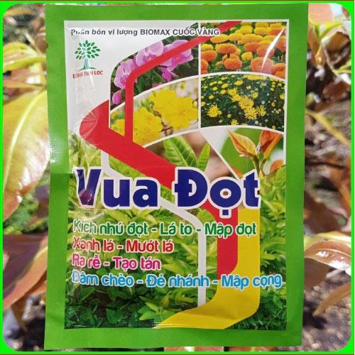 Vua đọt siêu đâm chồi ra rễ mạnh đâm chèo để nhánh mập cộng gói 100g