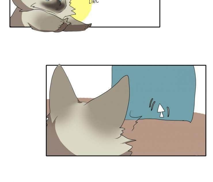 cat girl and bodyguards chapter 10 5