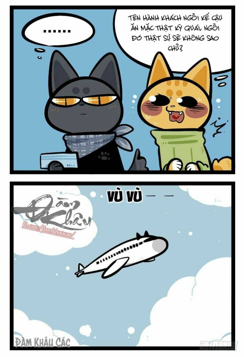 đời không như mình tưởng chapter 42 5