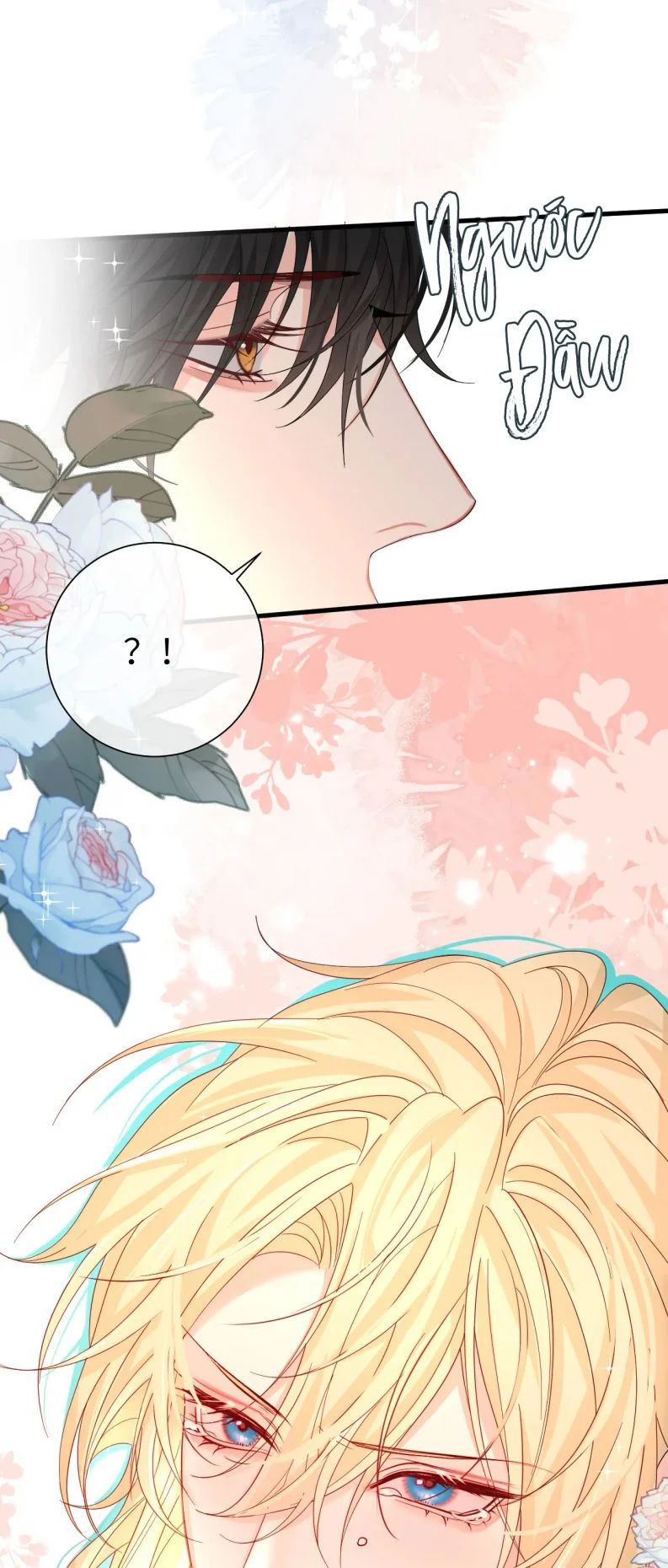 nhân ngư rơi xuống chapter 39 4