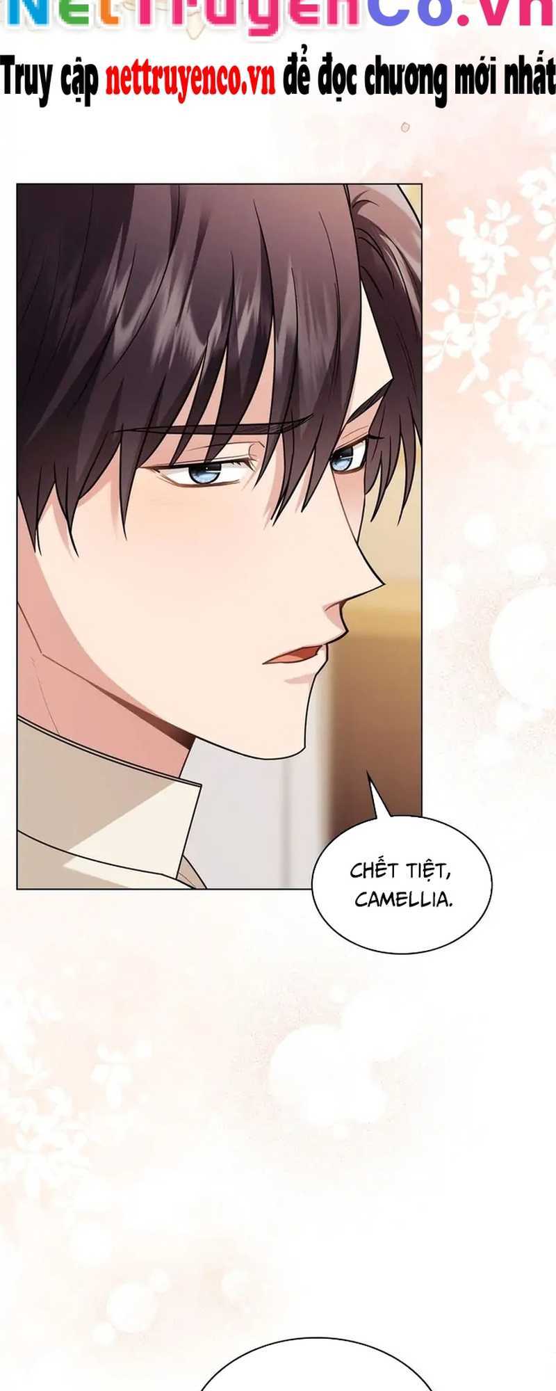 tìm lại camellia chapter 92 4