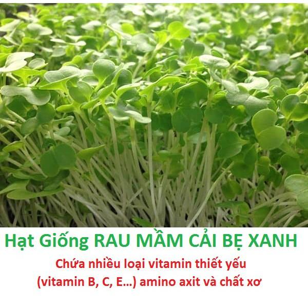 Hạt giống mầm cải bẹ xanh, Cải bẹ xanh baby - gói 20-50gr