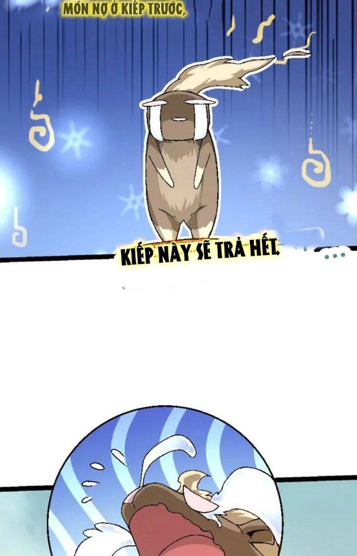 từ cây cổ thụ bắt đầu tiến hóa chapter 31 37