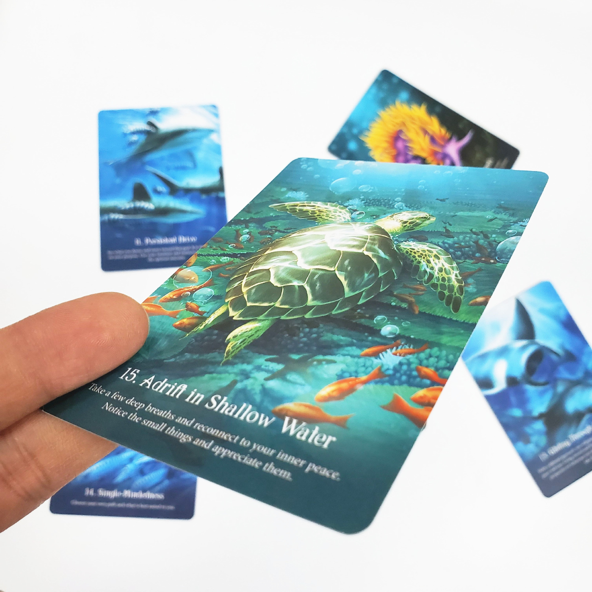 Bộ bài Whispers of the Ocean Oracle Cards