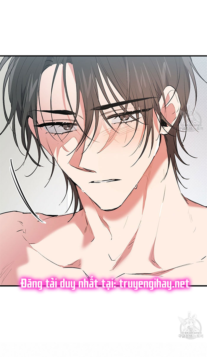 những chú thỏ của hapypy chapter 43 10