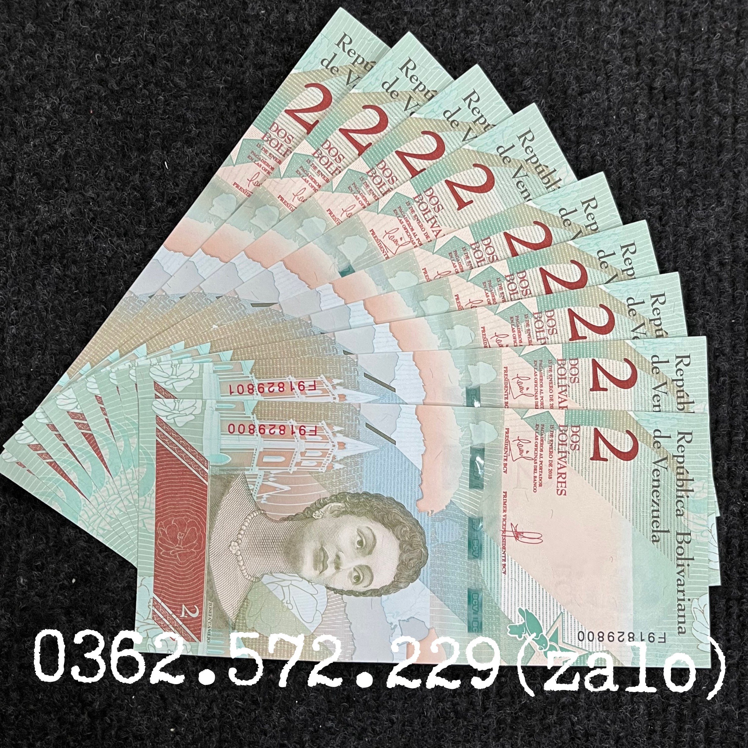 Combo 10 Tờ  Tiền 2 Bolivares của Venezuela hình con chim két tiền châu Mỹ , Mới 100% UNC