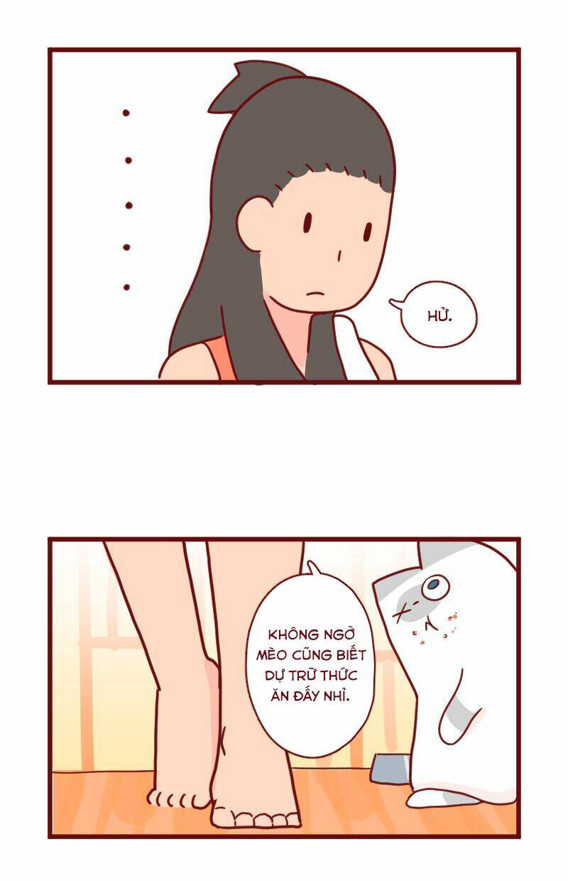 saphie: chú mèo một mắt chapter 11 8