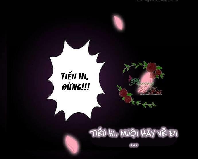 ảnh đế cầu sủng chapter 1 17