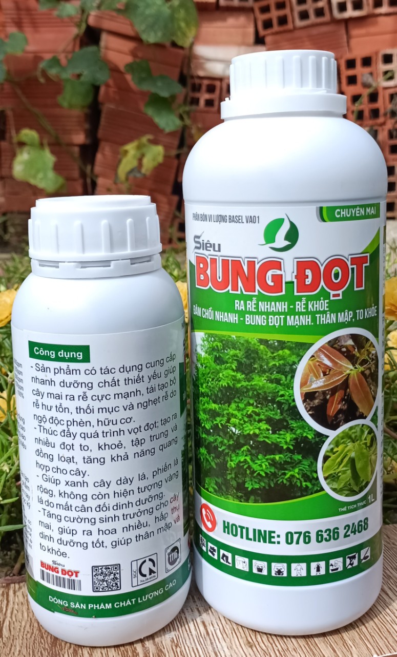 PHÂN BÓN LÁ SIÊU BUNG ĐỌT CHO MAI, CÂY KIỂNG - SIÊU TIẾT KIỆM, SIÊU HIỆU QUẢ