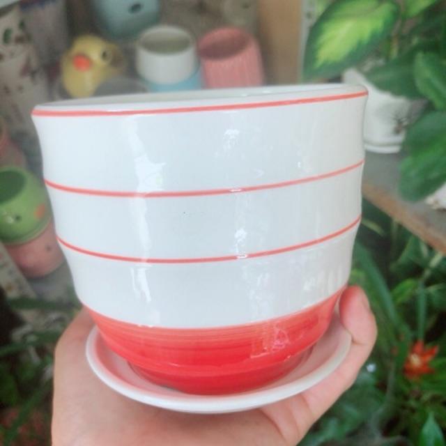 Chậu Trồng Cây