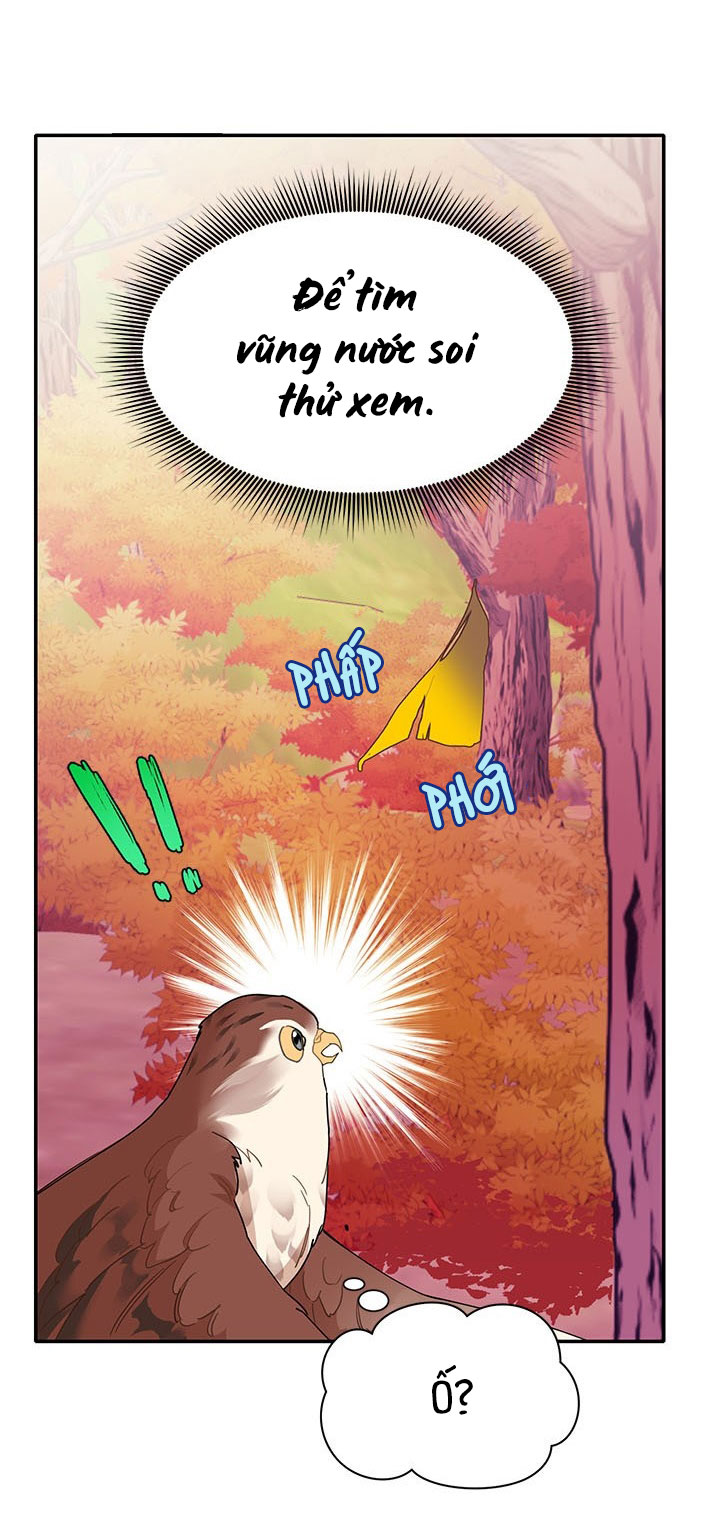 công chúa của loài chim chapter 2 37