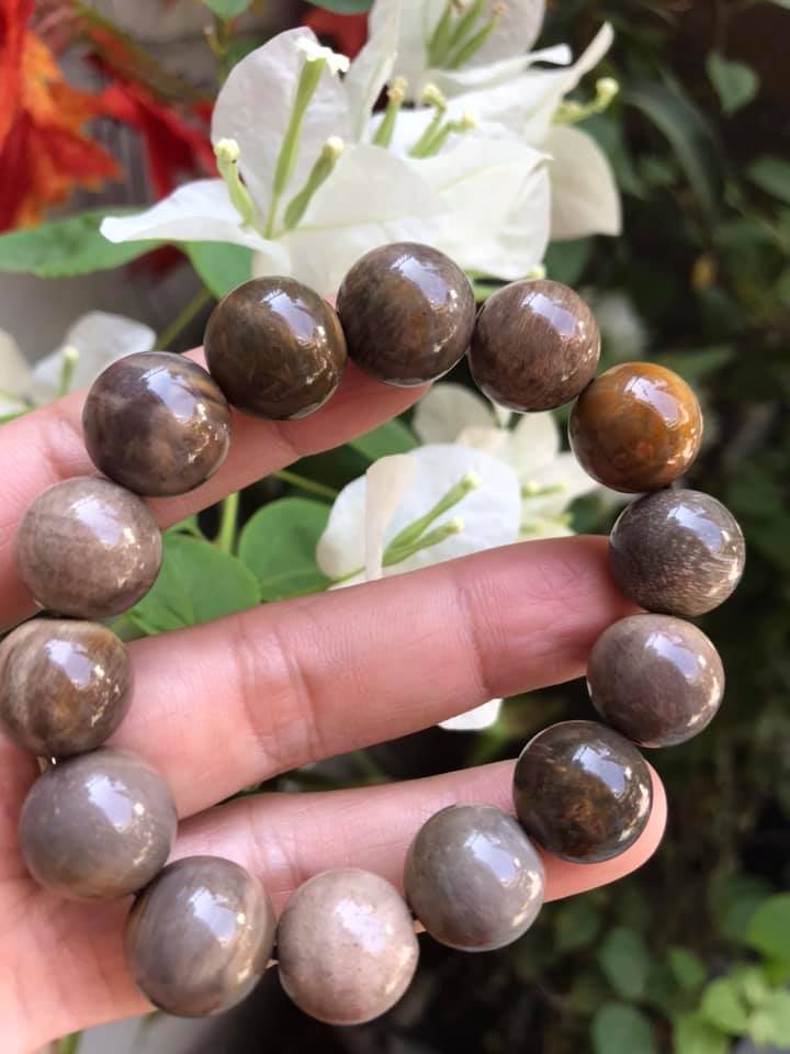 Vòng Gỗ Hóa Thạch Màu Vân Tự Nhiên Bóng Đẹp  Nam Đeo 14mm Màu Nâu Sáng Bóng Vàng Nhẹ  Nam đeo vào tay đẹp sang tốt rẻ nữa ạ