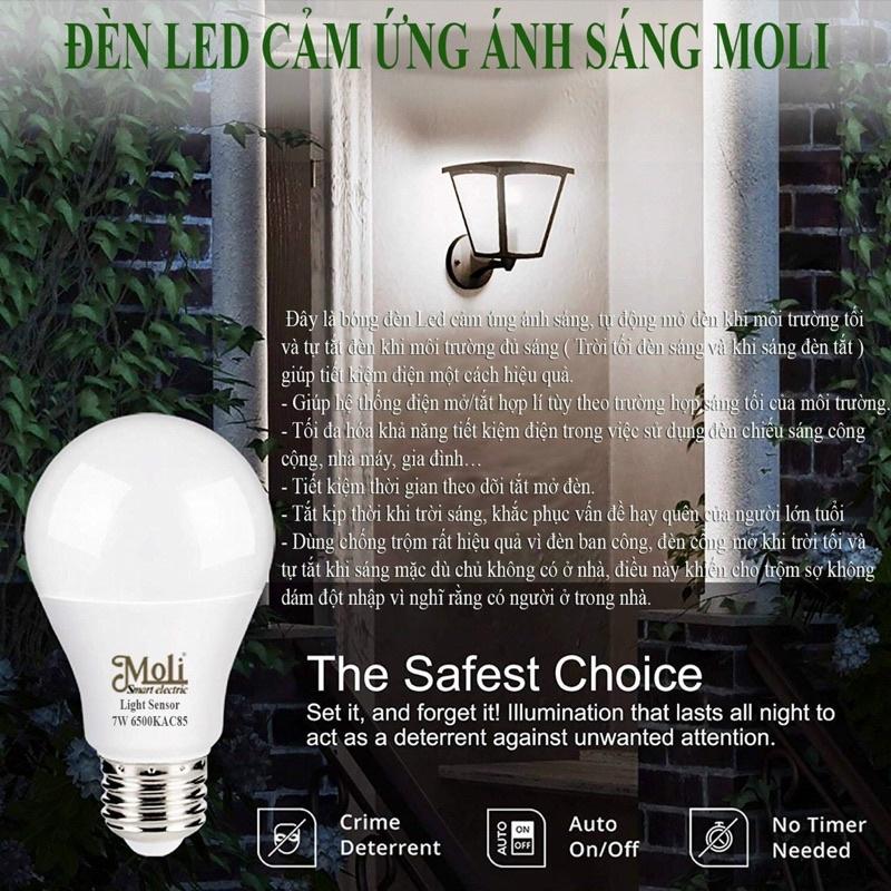 ĐÈN LED CẢM ỨNG ÁNH SÁNG MOLI