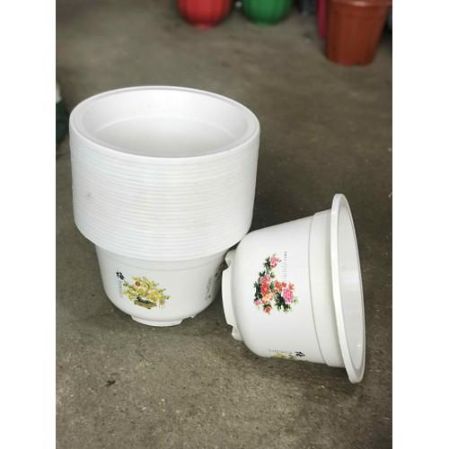 Combo 5 Chậu Nhựa Bốn Mùa, Chậu Tròn Trắng In Hoa Văn Nhiều màu có 3 Chân cao 3cm - Trồng mọi loại cây