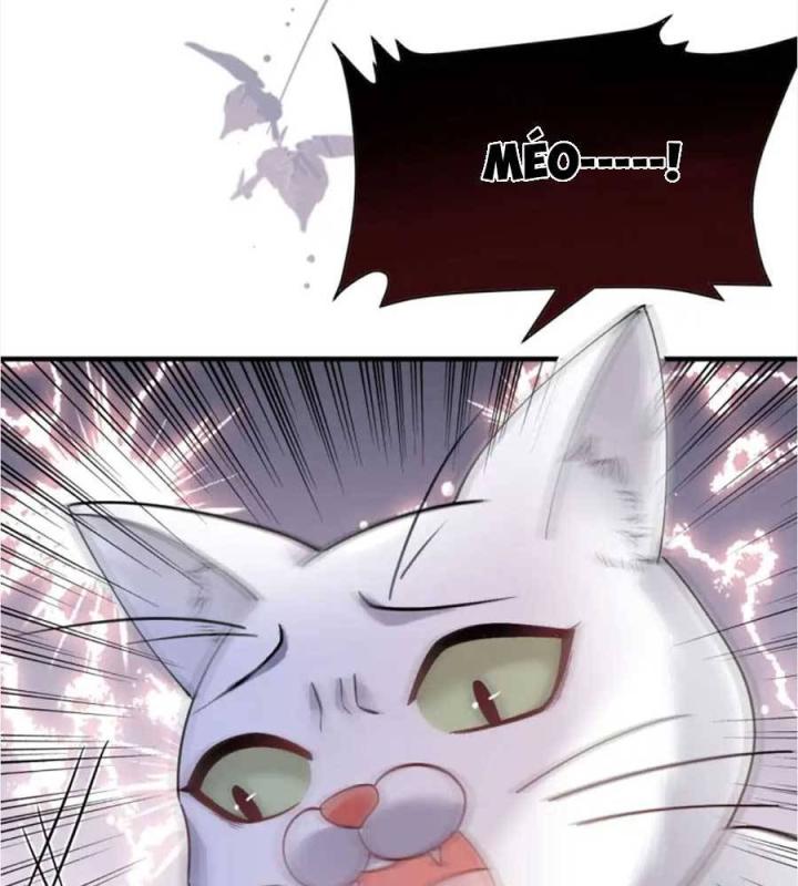 đại tiểu thư có thể có bụng dạ gì xấu chứ! (full) chapter 176 67