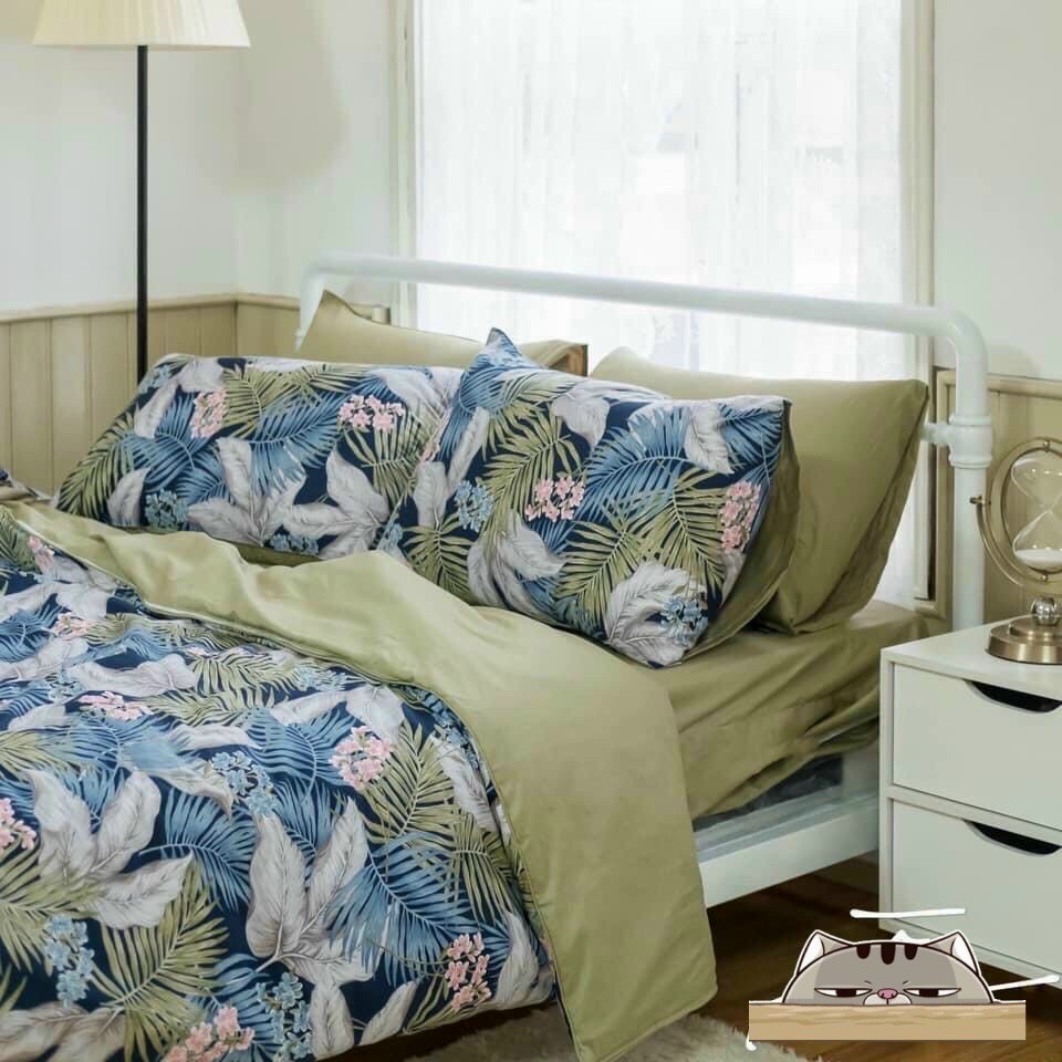 Bộ Ga Gối Vải Cotton Hàn Quốc 4 Món Nệm 20 CM