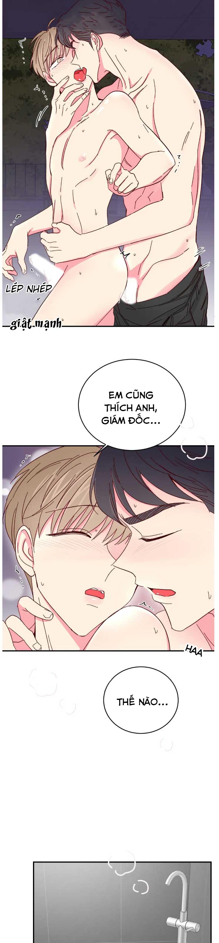 món tráng miệng của sếp tổng chapter 70 12