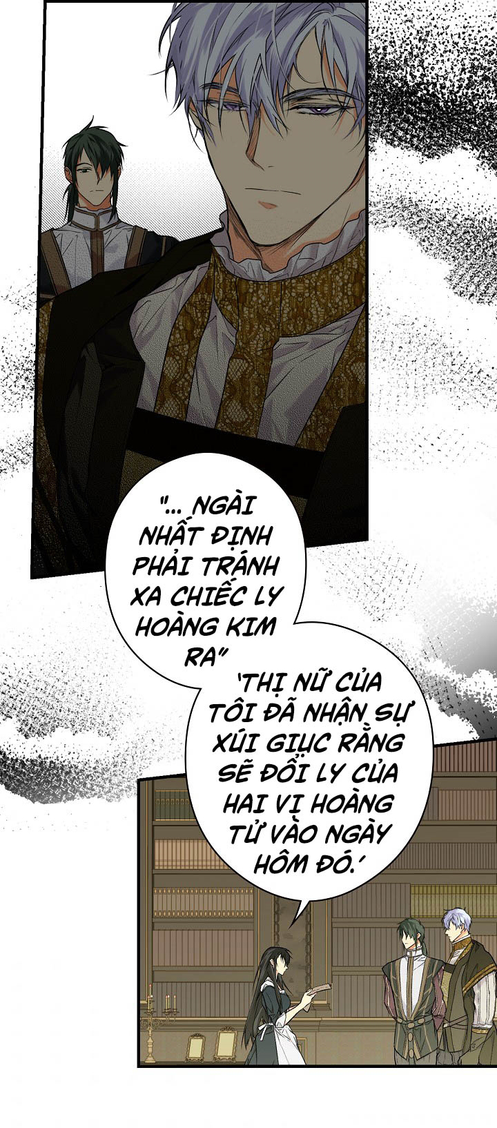 tiểu thư bí ẩn chapter 10 29